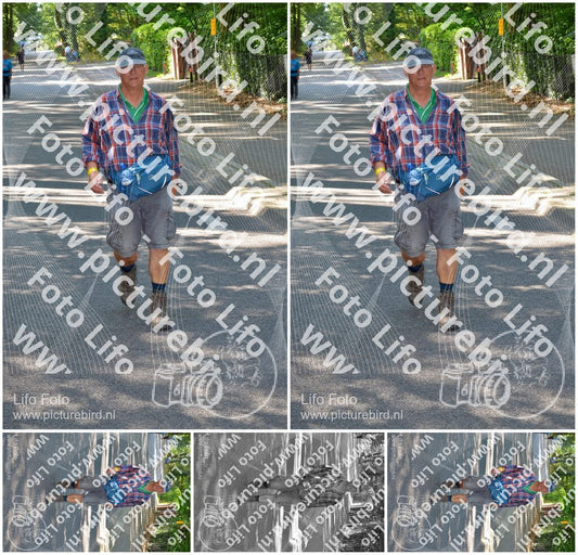 Evenement foto: Nijmeegse Vierdaagse 945