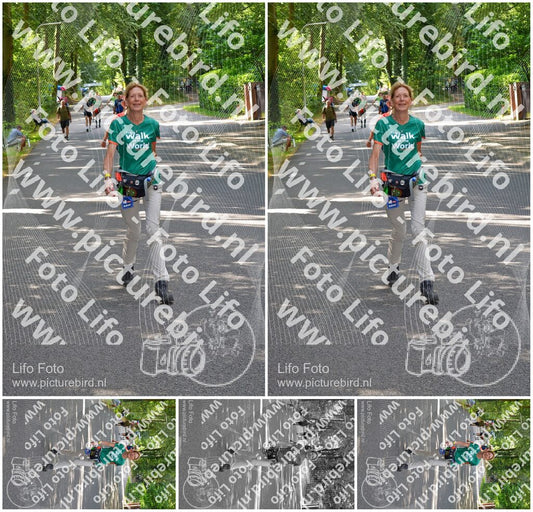 Evenement foto: Nijmeegse Vierdaagse 945