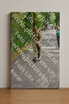Evenement foto: Nijmeegse Vierdaagse 945