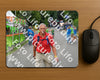 Evenement foto: Nijmeegse Vierdaagse 944
