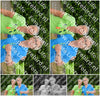 Evenement foto: Nijmeegse Vierdaagse 944