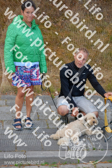 Evenement foto: Nijmeegse Vierdaagse 944
