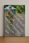 Evenement foto: Nijmeegse Vierdaagse 944