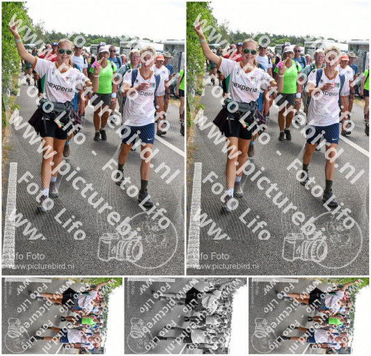 Evenement foto: Nijmeegse Vierdaagse 697