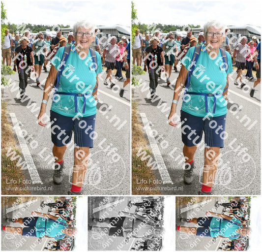 Evenement foto: Nijmeegse Vierdaagse 697