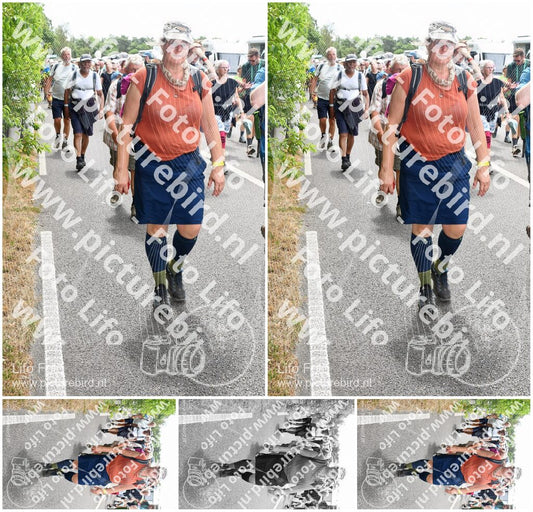 Evenement foto: Nijmeegse Vierdaagse 697