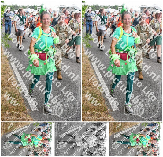 Evenement foto: Nijmeegse Vierdaagse 697