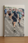 Evenement foto: Nijmeegse Vierdaagse 696