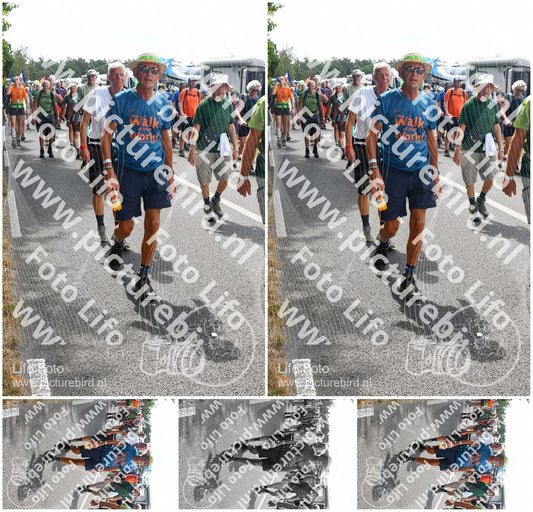 Evenement foto: Nijmeegse Vierdaagse 696