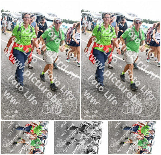 Evenement foto: Nijmeegse Vierdaagse 696