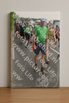 Evenement foto: Nijmeegse Vierdaagse 696
