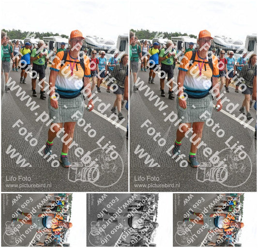 Evenement foto: Nijmeegse Vierdaagse 696