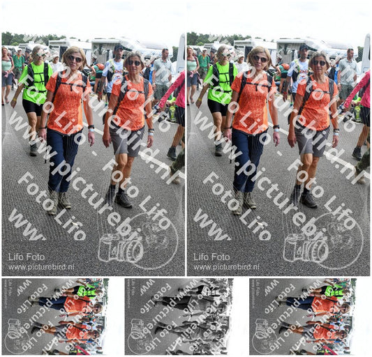 Evenement foto: Nijmeegse Vierdaagse 695