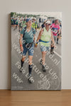 Evenement foto: Nijmeegse Vierdaagse 695