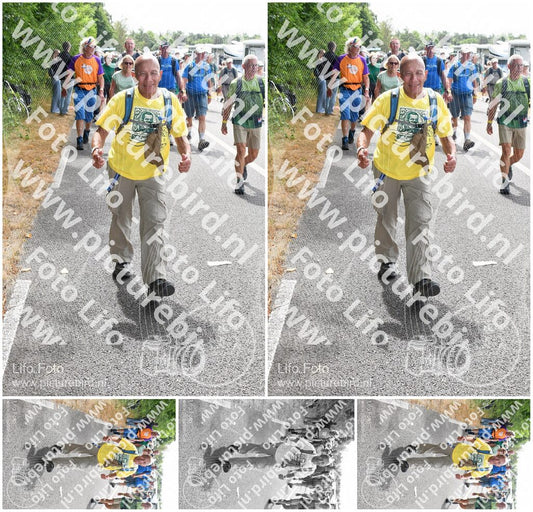 Evenement foto: Nijmeegse Vierdaagse 695