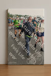 Evenement foto: Nijmeegse Vierdaagse 694