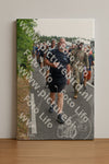 Evenement foto: Nijmeegse Vierdaagse 694