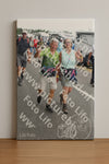 Evenement foto: Nijmeegse Vierdaagse 693