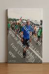 Evenement foto: Nijmeegse Vierdaagse 693