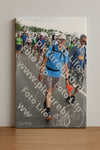 Evenement foto: Nijmeegse Vierdaagse 692