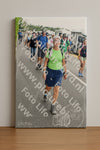Evenement foto: Nijmeegse Vierdaagse 692