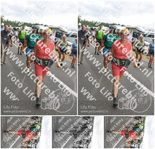 Evenement foto: Nijmeegse Vierdaagse 692