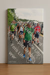 Evenement foto: Nijmeegse Vierdaagse 692