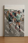 Evenement foto: Nijmeegse Vierdaagse 692