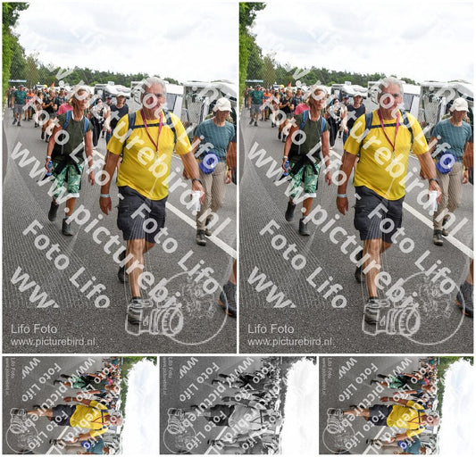 Evenement foto: Nijmeegse Vierdaagse 692