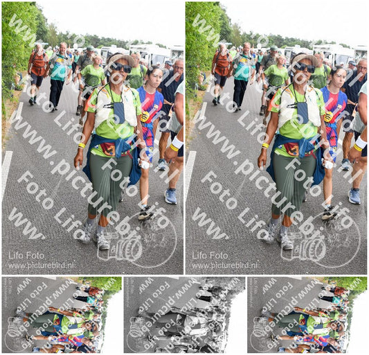 Evenement foto: Nijmeegse Vierdaagse 692