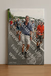 Evenement foto: Nijmeegse Vierdaagse 692
