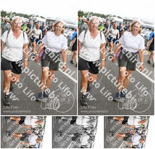 Evenement foto: Nijmeegse Vierdaagse 692