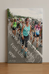 Evenement foto: Nijmeegse Vierdaagse 691