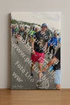Evenement foto: Nijmeegse Vierdaagse 691