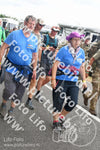 Evenement foto: Nijmeegse Vierdaagse 691