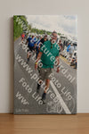 Evenement foto: Nijmeegse Vierdaagse 690