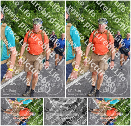 Evenement foto: Nijmeegse Vierdaagse 690