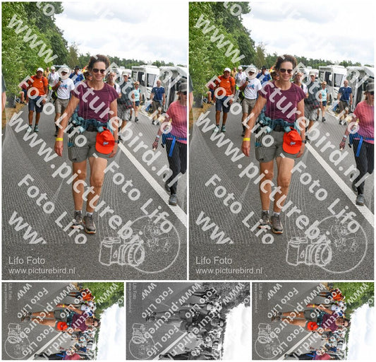 Evenement foto: Nijmeegse Vierdaagse 690