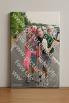 Evenement foto: Nijmeegse Vierdaagse 690