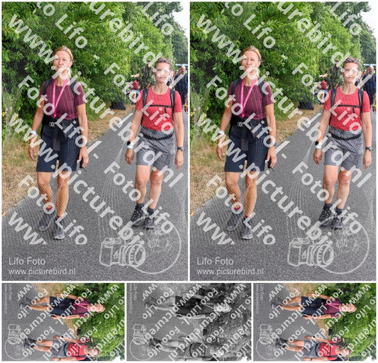 Evenement foto: Nijmeegse Vierdaagse 690