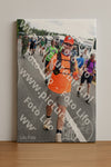 Evenement foto: Nijmeegse Vierdaagse 689