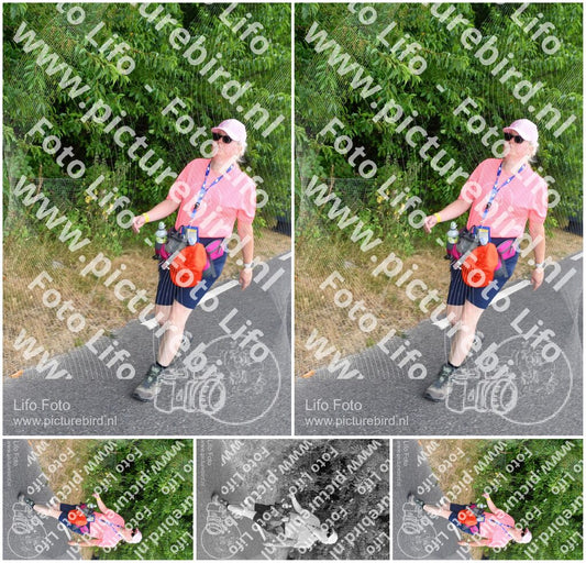 Evenement foto: Nijmeegse Vierdaagse 689