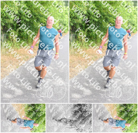 Evenement foto: Nijmeegse Vierdaagse 689