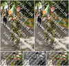 Evenement foto: Nijmeegse Vierdaagse 1050