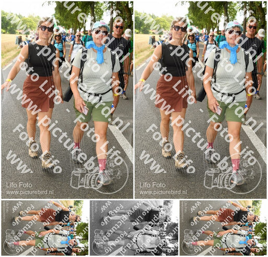 Evenement foto: Nijmeegse Vierdaagse 1050