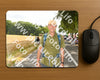 Evenement foto: Nijmeegse Vierdaagse 1050