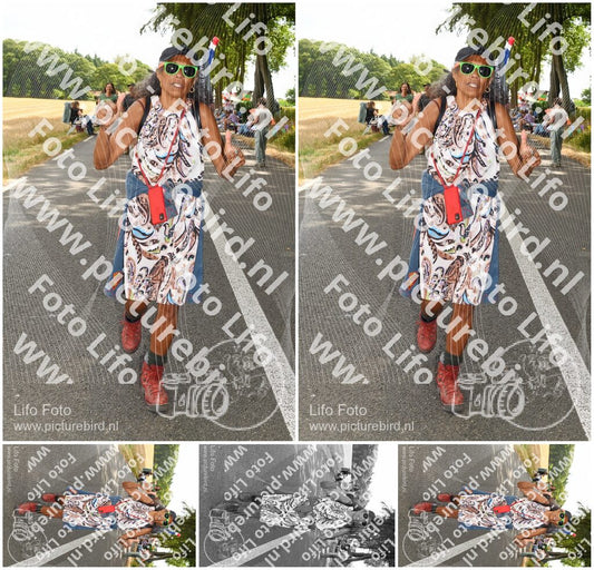 Evenement foto: Nijmeegse Vierdaagse 1050