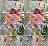 Evenement foto: Nijmeegse Vierdaagse 1050