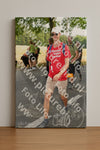 Evenement foto: Nijmeegse Vierdaagse 1049