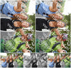 Evenement foto: Nijmeegse Vierdaagse 1049